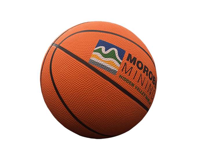 promotional-basketball
