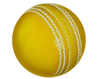 Coloured Cricket Balls
