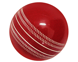 Evershine Youngster's Cricket Ball