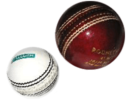 Mini Cricket Ball