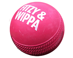 Rubber Cricket Balls