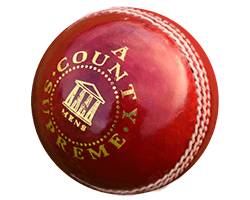 Branded Cricket Balls