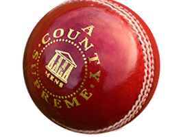 Branded Cricket Balls